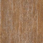 wdc-eco-foresta-rosso-albero-03