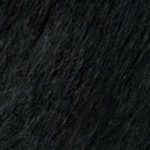 wdc-polar-black-Castle Rock