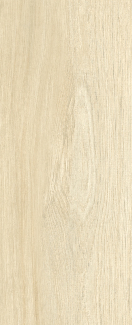 SOFTWOOD | Porcelain Tile | WDC