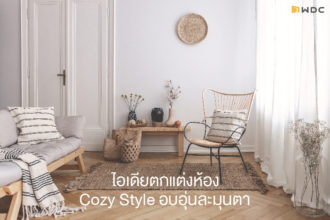 ไอเดียตกแต่งบ้านแบบ Cozy Style