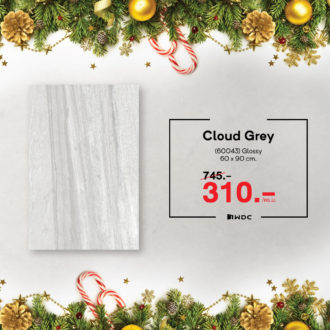 05 Promotion Dec 12.12 - 01-11
