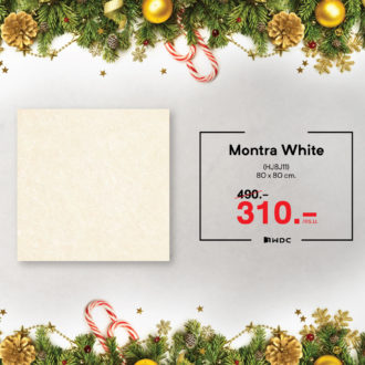 05 Promotion Dec 12.12 - 01-14