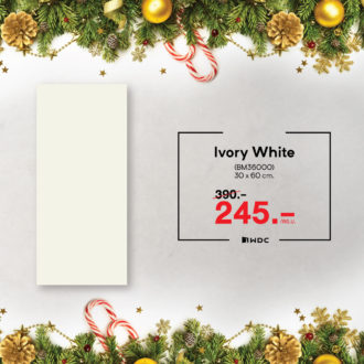 05 Promotion Dec 12.12 - 01-21