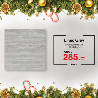 05 Promotion Dec 12.12 - 01-30